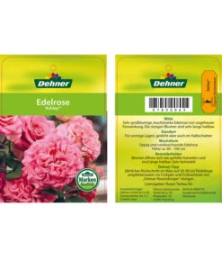 Edelrosen-Mix 'Nostalgie®' -Eleganter Garten 7800063 AshleyEdelrose Etikett1