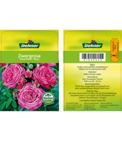 Edelrosen-Mix 'Nostalgie®' -Eleganter Garten 7800063 HeidiKlumZwergrose Etikett1
