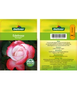 Edelrosen-Mix 'Nostalgie®' -Eleganter Garten 7800063 NostalgieEdelrose Etikett1