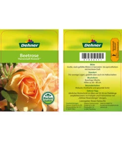 Beetrose 'Hansestadt Rostock®' -Eleganter Garten 7866551 HansestadtRostockBeetrose Etikett1