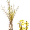 Forsythien-Bund, Ca. 80-100 Cm 1 Forsythien-Bund, Ca. 80-100 Cm -Eleganter Garten 8148959 WE FS 001 ForsythieBund