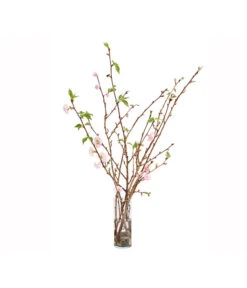 Japanische Kirschzweige, Ca. 80-100 Cm 8 Japanische Kirschzweige, Ca. 80-100 Cm -Eleganter Garten 8149015 WE FS 002 JapanischeKirscheBundDehnerExpressHerzig