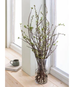 Kirschzweige-Bund, Ca. 80-100 Cm -Eleganter Garten 8149049 WE MO 001 KirschzweigeHandbund