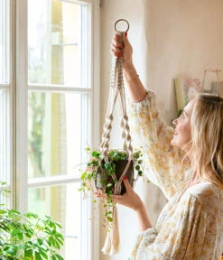 Peperomie - Peperomia 'Pepperspot' 8 Peperomie - Peperomia 'Pepperspot' -Eleganter Garten 8252173 WE MO 001 PeperomiePepperspotMakrameeAmpel