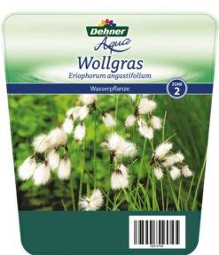 Schmalblättriges Wollgras -Eleganter Garten 8311383 Wollgras Etikett 1