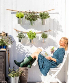 Bio Rosmarin -Eleganter Garten 8610123 WE MO 001 Oregano Kraeuter