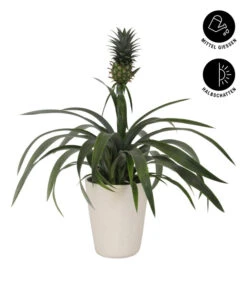 Eleganter Garten -Eleganter Garten 8627978 WE FS 002 AnanaspflanzeInKeramik