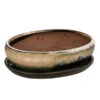 Dehner Keramik-Bonsaischale, Oval, Creme/dunkelbraun, Ca. B21/H6/T16,5 Cm