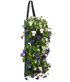 Wandhänger Mit Hornveilchen, Verschiedene Sorten -Eleganter Garten 8809048 WE FS 003 ViolaWandhaenger