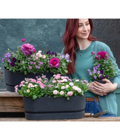 Elho Kunststoff-Topf Greenville, Ca. B20/B18/T49 Cm -Eleganter Garten 8809857 WE MO 001 FruehlingRosa