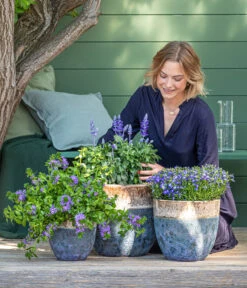 Dehner Keramik-Topf Mystras, Rund, Blau-braun 10 Dehner Keramik-Topf Mystras, Rund, Blau-braun -Eleganter Garten 8811143 WE MO 001 BlaueMauritius