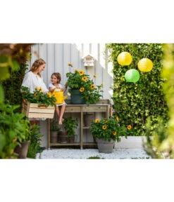 Dehner Solar-Lampion, Ø 28 Cm -Eleganter Garten 8823122 WE MO 001 HelianthusSunbelievableSonnenblumeT14