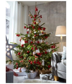 Nordmann-Tanne, Ca. 150-200 Cm, Gesägt -Eleganter Garten 8995748 PR MO 017 NordmanntanneAbiesNordmannianaGesaegtWeihnachtsshooting
