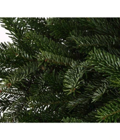 Nordmann-Tanne, Ca. 80-100 Cm, Im Topf Gewachsen -Eleganter Garten 8995938 WE DE 003 AbiesNordmanniananNordmanntanne80 100DehnerExpressHerzig