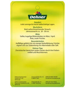 Kornelkirsche - Cornus Mas -Eleganter Garten KornelkirscheCornusmas Etikett 2