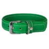 Das Lederband Hundehalsband Style Barcelona Summer-Green