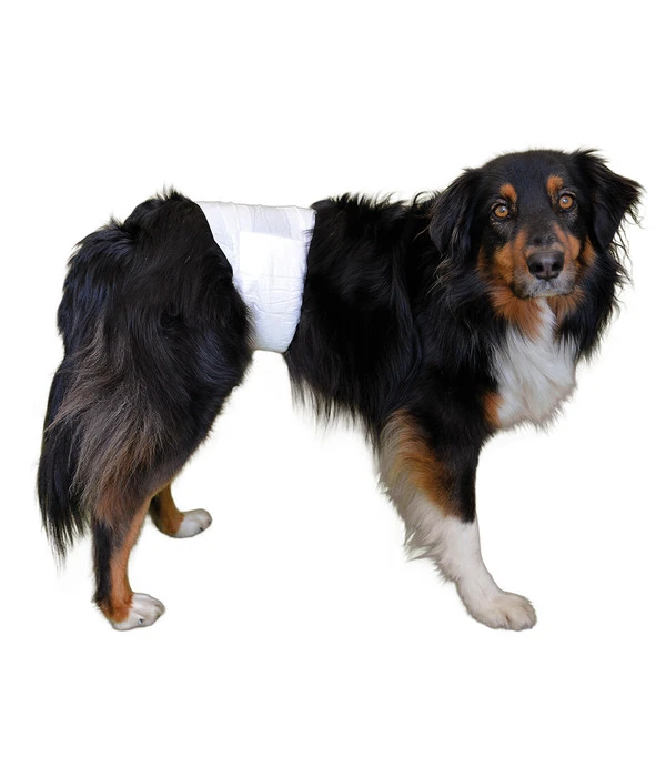 Vetlando® Hundehygiene Rüdenwindel 3 Vetlando® Hundehygiene Rüdenwindel