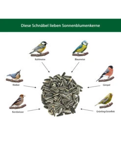 Dehner Natura Wildvogelfutter Sonnenblumenkerne, 5 L -Eleganter Garten WE IG 001 DehnerNaturaWelcherVogelfrisstSonnenblumenkerne