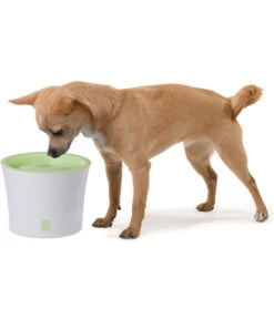 Catit Fresh & Clear Trinkbrunnen, 3 L -Eleganter Garten X005335450 BildM 001 CatitTrinkbrunnenHund