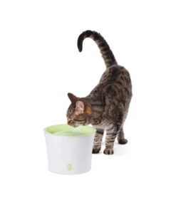 Catit Fresh & Clear Trinkbrunnen, 3 L -Eleganter Garten X005335450 BildM 001 CatitTrinkbrunnenKatze